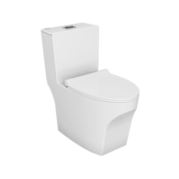 Linda made a porcelain toilet